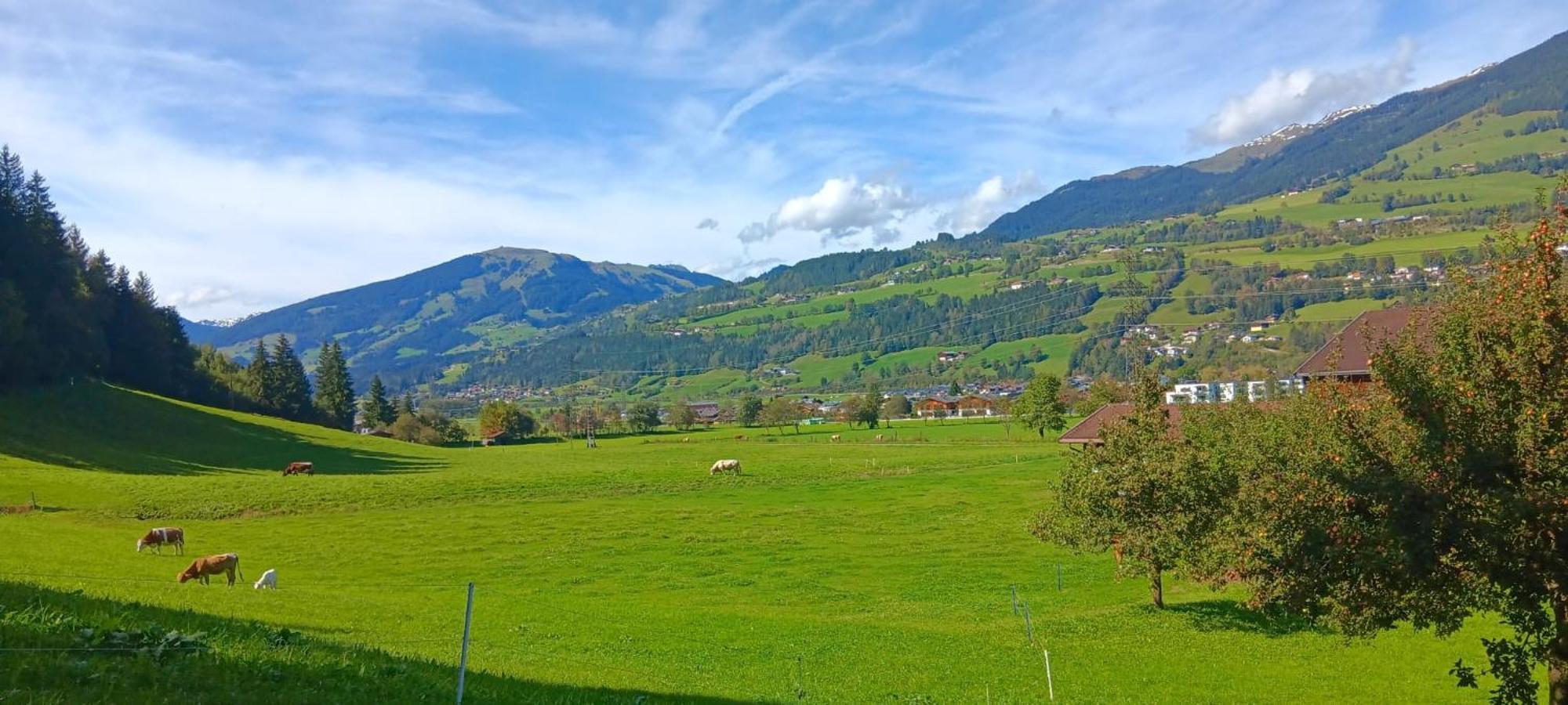 Apartment Sonnberg Mittersill Zewnętrze zdjęcie